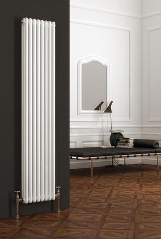 Reina Colona 2 Column radiator