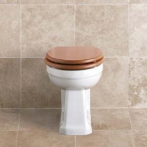 Back to Wall WC pan and seat,