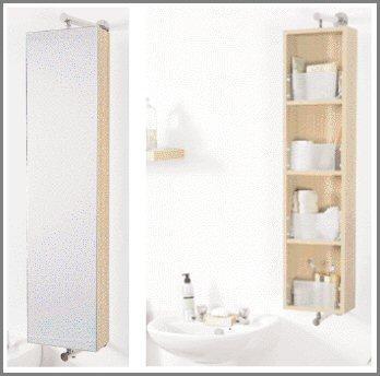 RTU250 Wall Mounted Rotating Cabinet