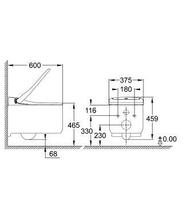 GROHE 39354SH0 SENSIA ARENA shower WC